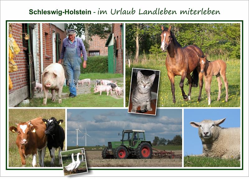 3307 S-H  Landleben 2010..jpg